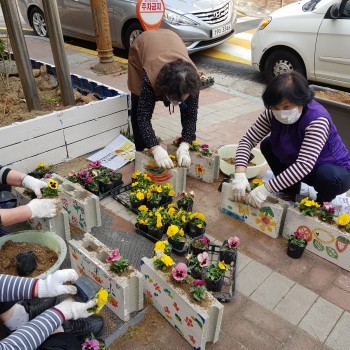 [2019.03.28.] 원예 노인자원봉사(실버그린파머) 블럭 화분 심기 이미지