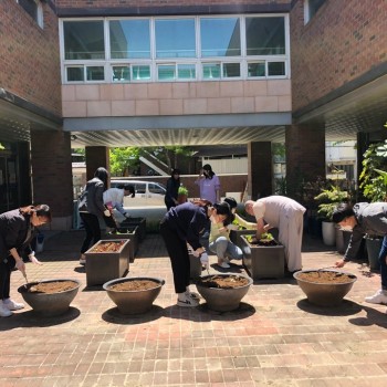 [2020.05.06] 복지관 환경정리(1,2층 화단 화분 심기) 이미지