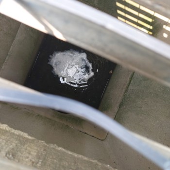 이동복지사업 (전주형 농촌지역 안전지원서비스 소독 및 해충방역 진행) 이미지