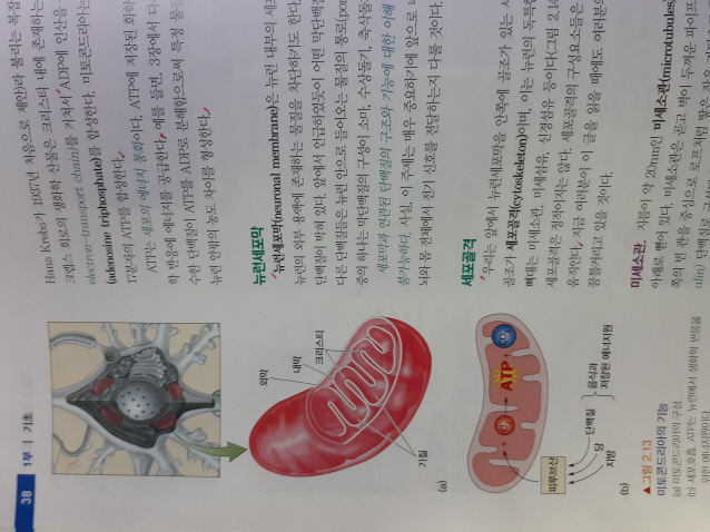 6cc01b4f416370ac9c15d7c292dc6262_1648619255_0576.jpg 6cc01b4f416370ac9c15d7c292dc6262_1648619255_0576.jpg