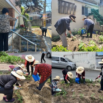 [선배시민자원봉사단] 실버그린파머 3회기 진행 이미지