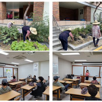 [선배시민자원봉사단] 실버그린파머 10회기 진행 이미지