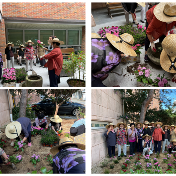 [선배시민자원봉사단] '실버그린파머' 13회기 진행 이미지