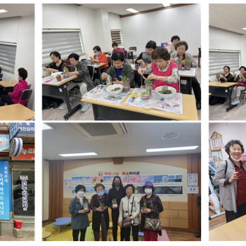 [선배시민자원봉사단 실버지구지키미] 리사이클전문교육 및 봉사활동 진행 이미지