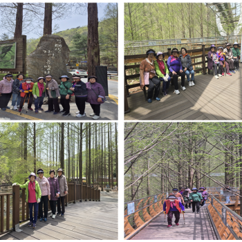 [경로당혁신사업] 경로당 힐링 트레킹 프로그램 진행 이미지