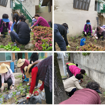 [선배시민자원봉사단] 실버그린파머 3회기 진행 이미지