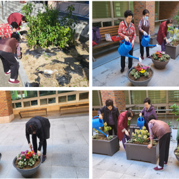 [선배시민자원봉사단] '실버그린파머' 13회기 진행 이미지