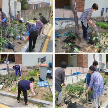 [선배시민자원봉사단] 실버그린파머 5회기 진행 이미지