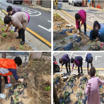 [선배시민자원봉사단] 실버그린파머 4회기 진행 이미지