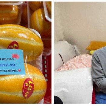 [2021.05.21.] 전주시청 지원 도시락 배달 영양더하기 사업시작 이미지