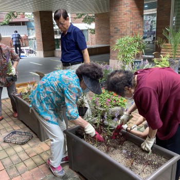 [2020.08.14] 복지관 환경정리(1,2층 화단 꽃 심기) 이미지