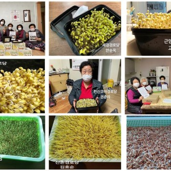 [경로당혁신사업] 서원키트프로그램 6,7회기 이미지