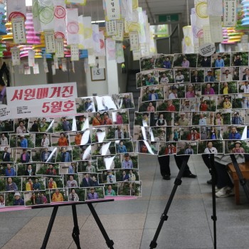 2017 서원 어버이날 행사 사진 게시 이미지