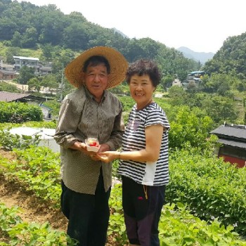 [2017.07.13] &#034;샌드위치는 사랑을 싣고&#034; 프로그램 진행 이미지