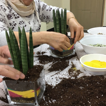 [분관/기린봉노인복지관]역할만들기 체험교실 ' 스투키화분만들기' 이미지