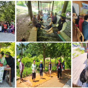 [ 사회참여지원사업 ] 보상프로그램 &#034;숲과 함께 힐링을 찾아서&#034; 나들이 이미지